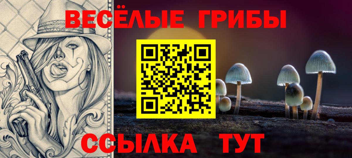 даркнет сайт  Галлюциногенные грибы GOLDEN TEACHER  Вход с VPN  Канаш 