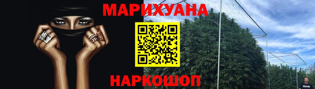 Шишки марихуана Bruce Banner Канаш